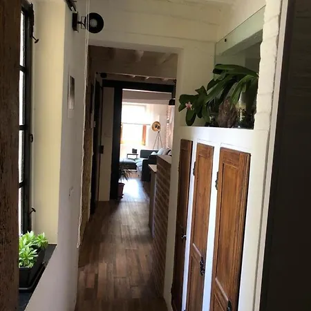 Casa Torre San Lorenzo 公寓 比萨